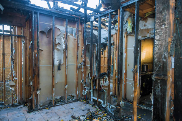 Professional Soot Cleanup technician working in Louisville, IL